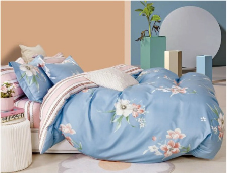 Комплект постельного белья Collection World 200x220